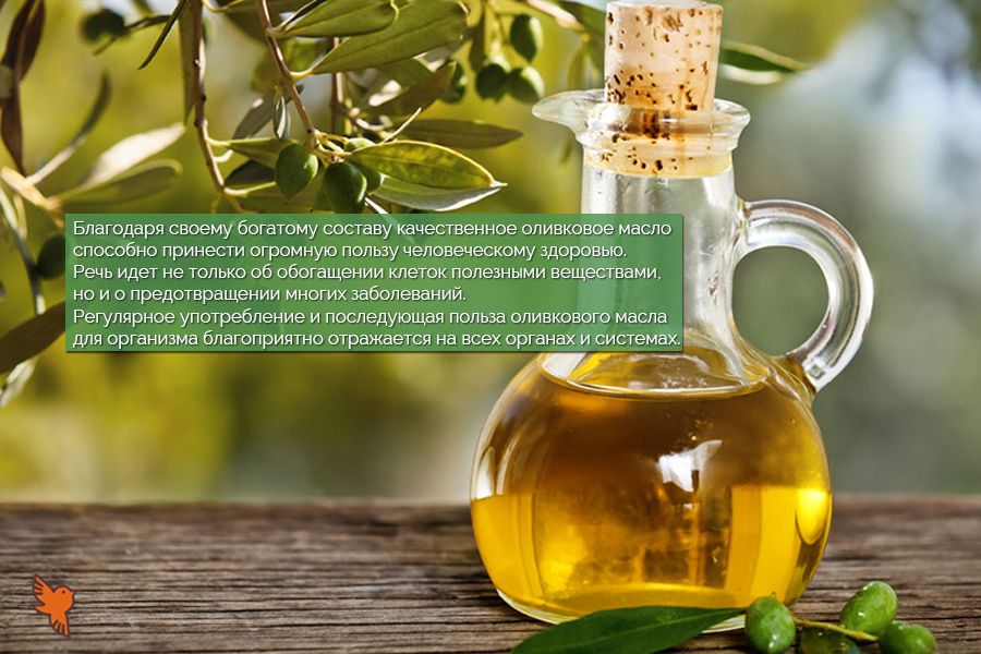 Как отличить качественное оливковое масло от фальсификат3 900х600.jpg