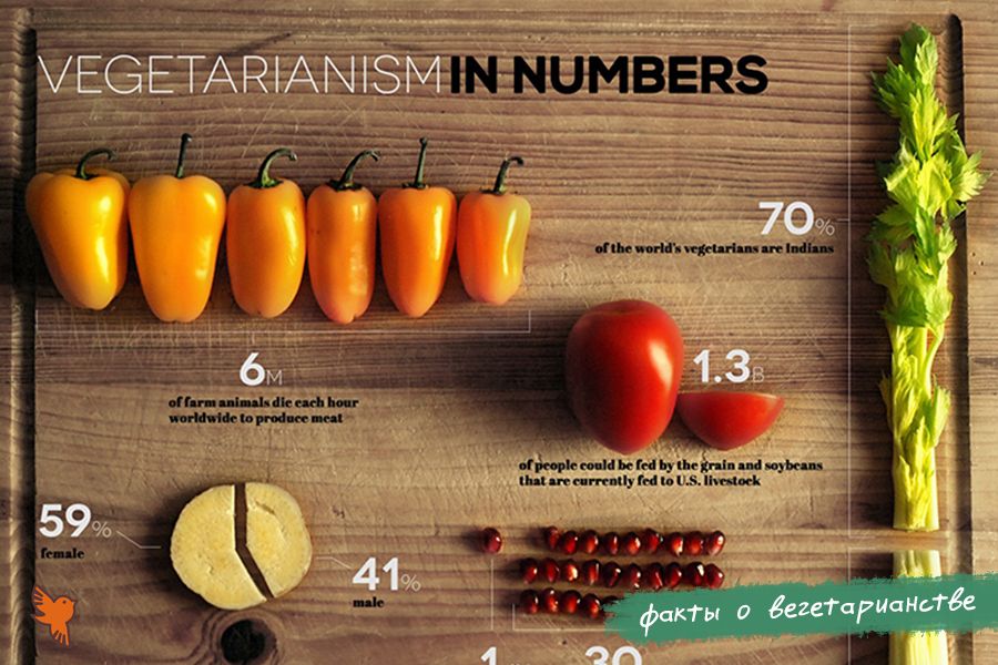 факты о вегетарианстве 3 [2020 900x600].jpg